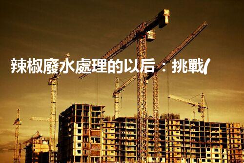 辣椒廢水處理的以后：挑戰(zhàn)與機遇并存！